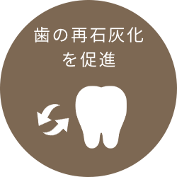 歯の再石灰化を促進